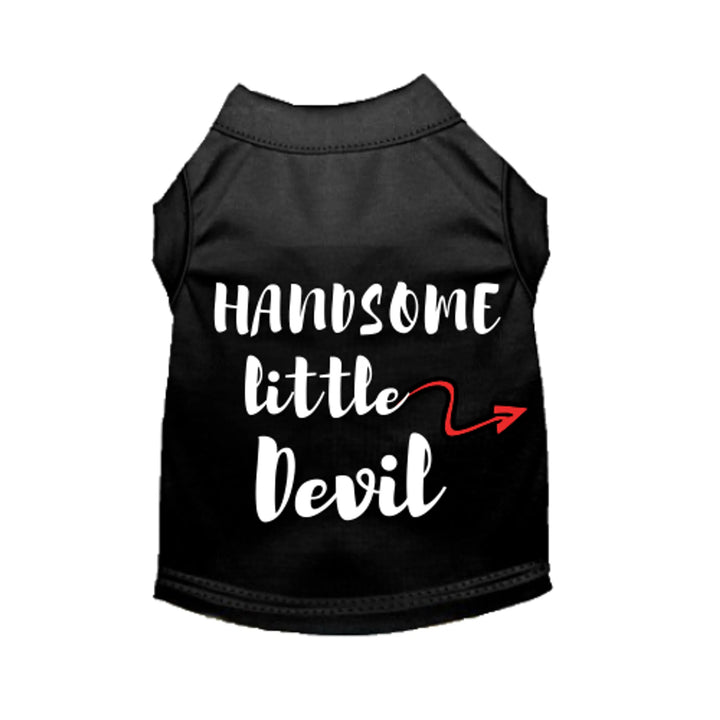 Discover the Handsome Little Devil