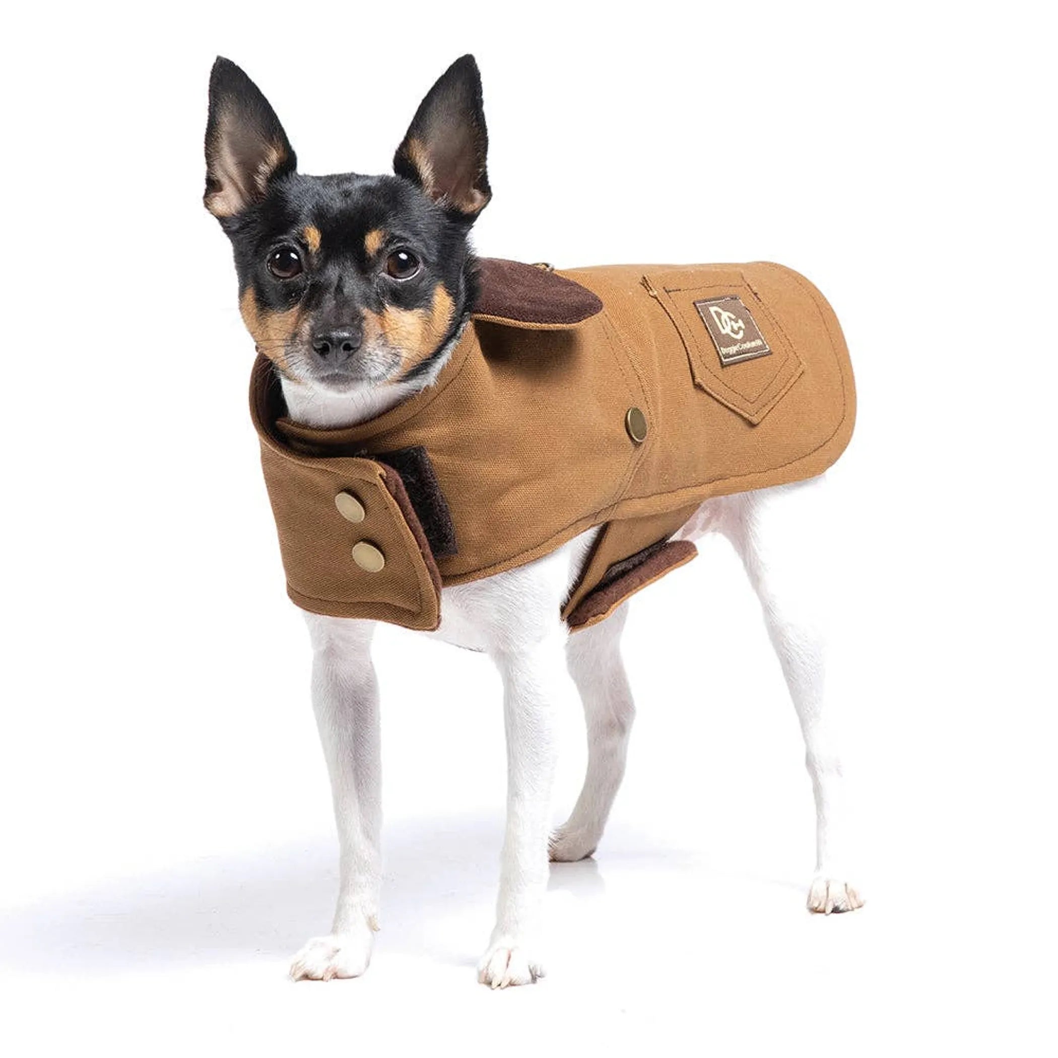 The Ultimate Workwear for Your Canine Companion