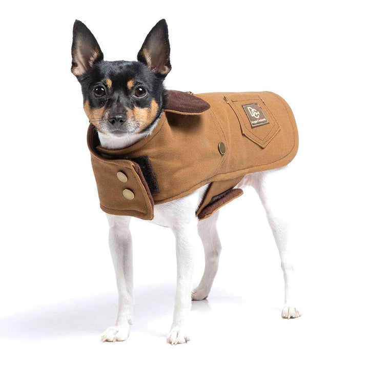The Ultimate Workwear for Your Canine Companion