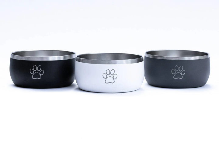 Elevate Your Pet's Dining Experience with Our Stainless Steel Dog Bowl