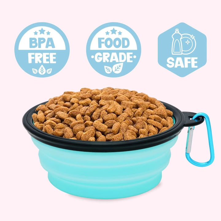 Place Steak Here Aqua Dog Bowl for Travel