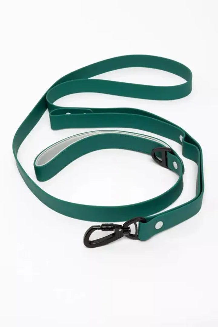 Siberian Spruce Waterproof Dog Leash: Adventure Guide