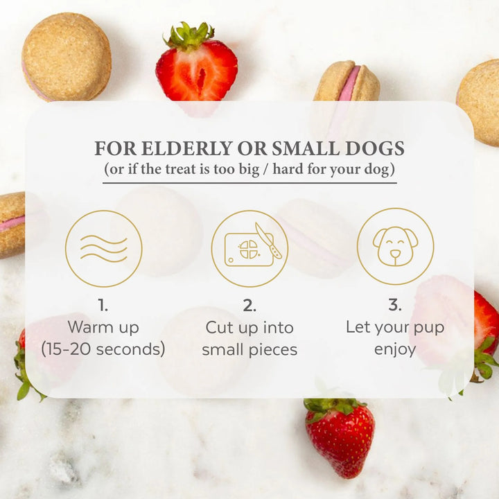 Gourmet Dog Macarons: Treats for Your Dog