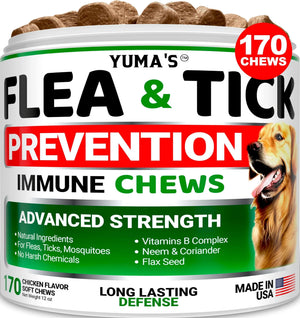 The Ultimate Flea and Tick Prevention for Dogs