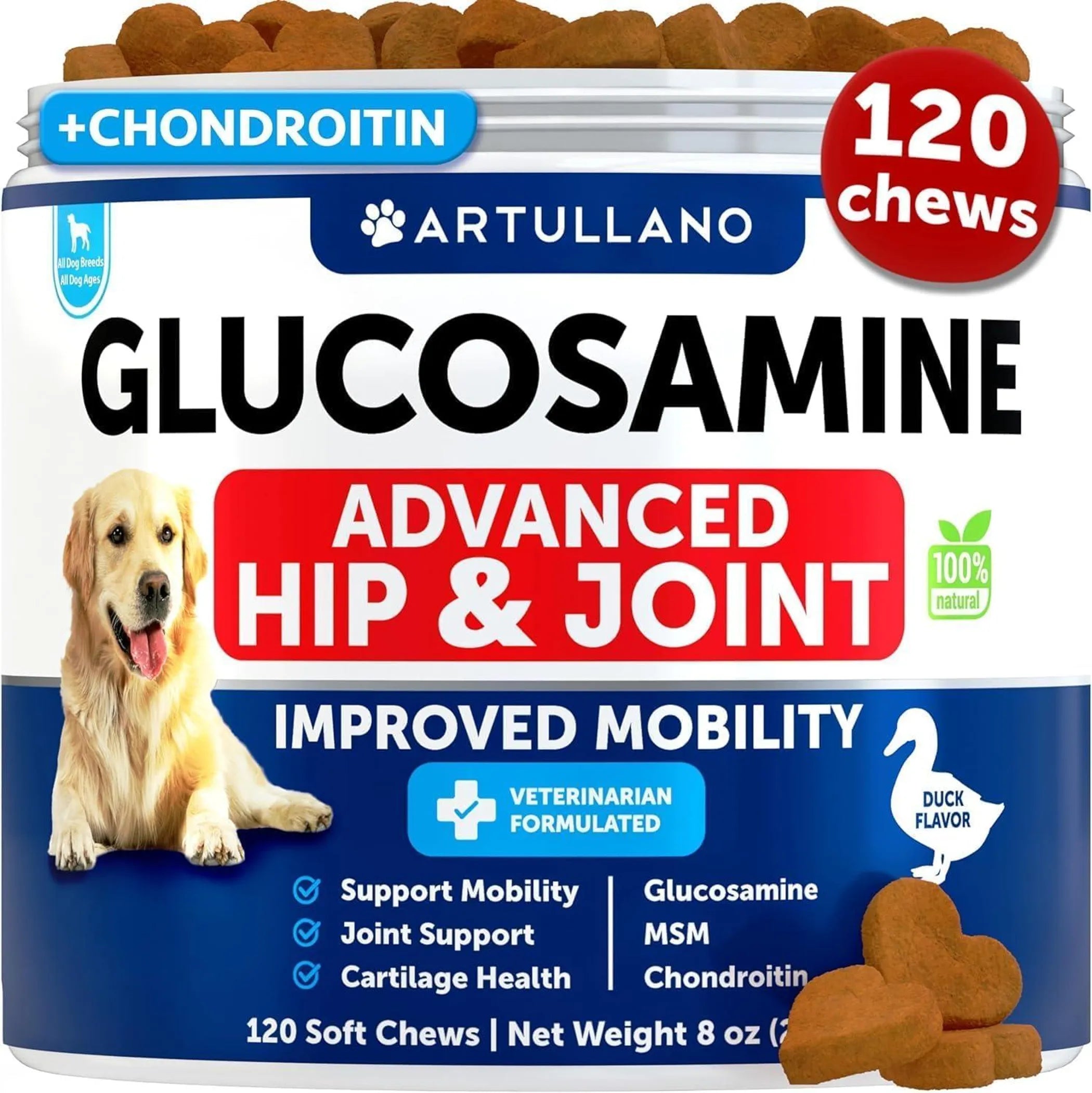 Introducing Pet Supplements Safely: A Guide