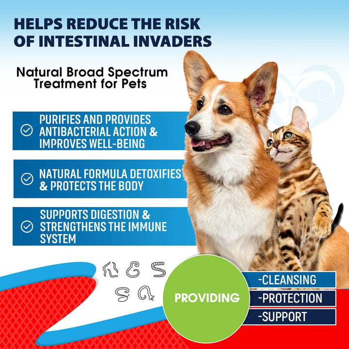 Keep Pets Worm-Free Naturally: Pet Care Guide