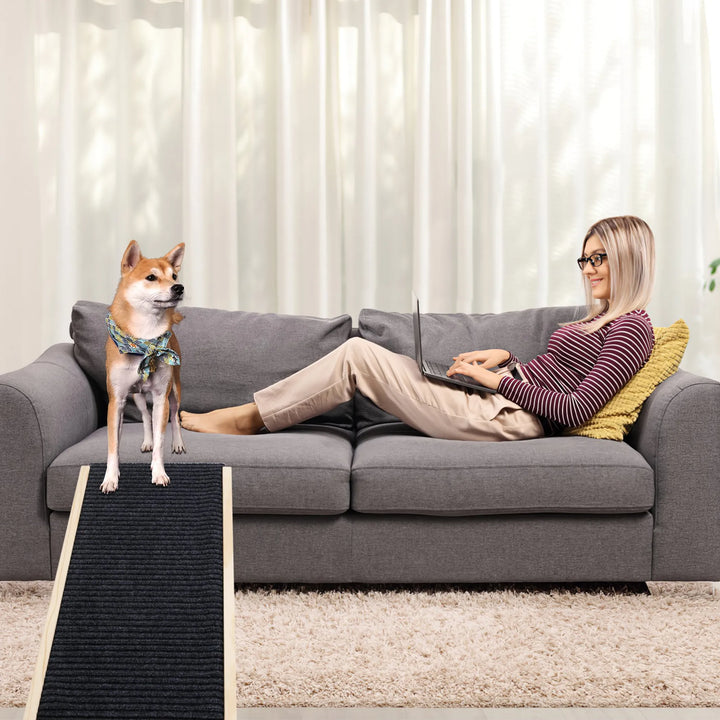 The Ultimate Solution for Your Pet's Mobility