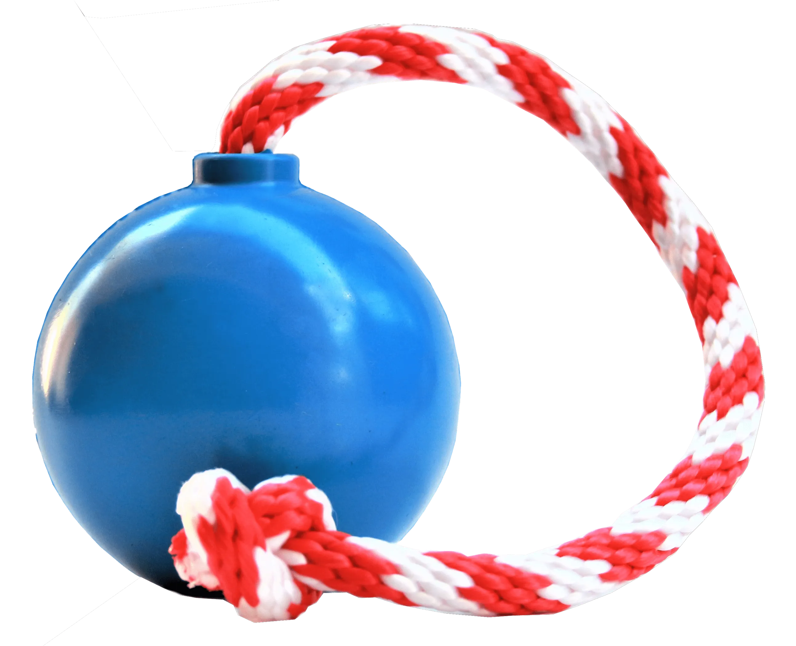USA-K9 Cherry Bomb Chew Toy for Dogs