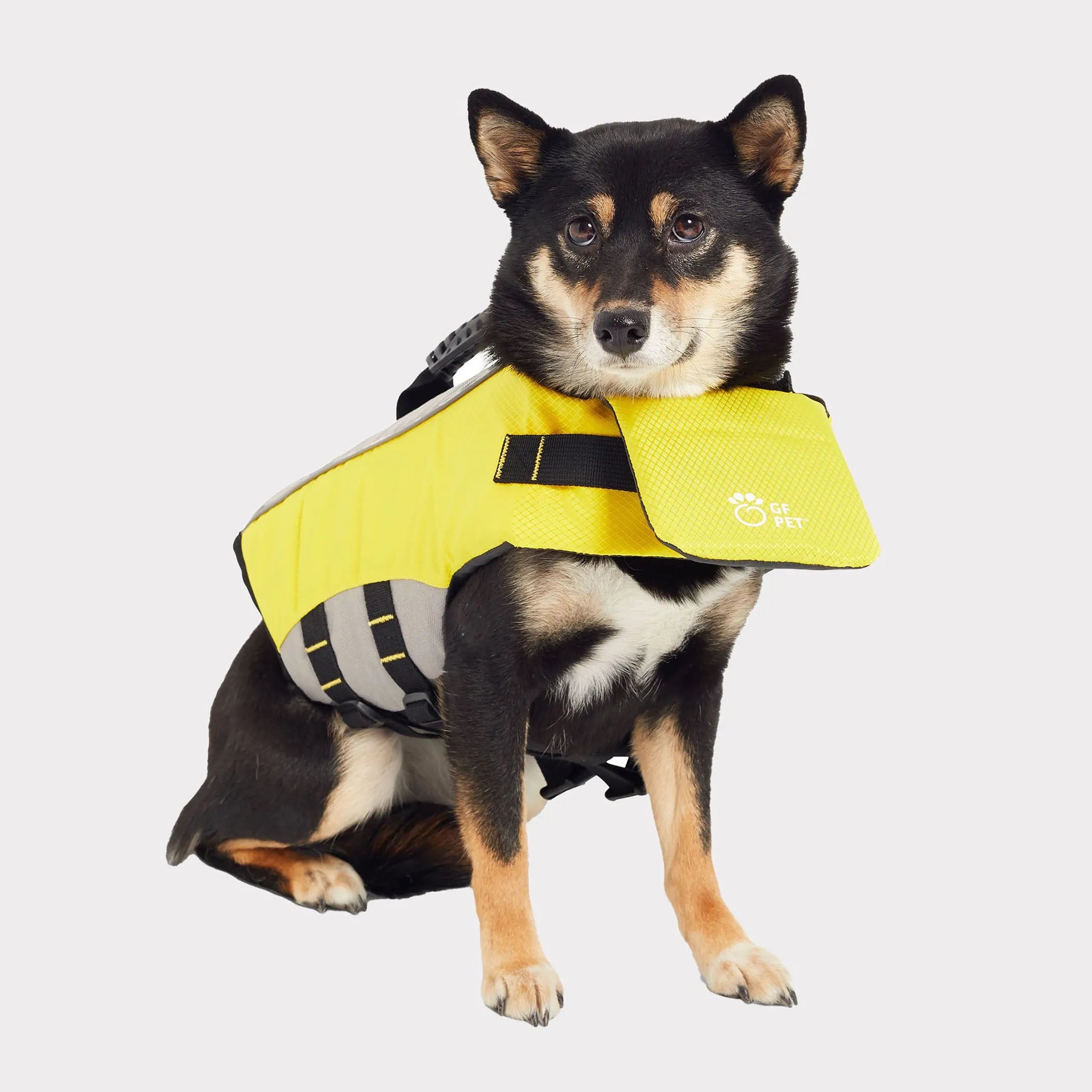 Protect Your Pup with the GF Pet Life Vest