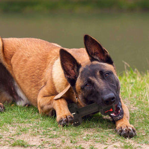 Durable Dog Chew Toys For Aggressive Chewers - The Ultimate Solution for Strong Chewers