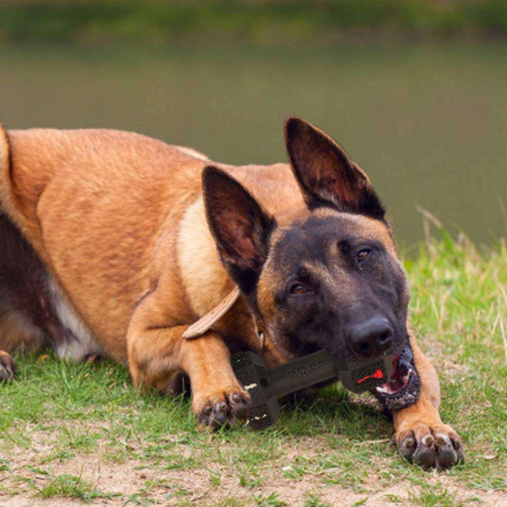 Durable Dog Chew Toys For Aggressive Chewers - The Ultimate Solution for Strong Chewers