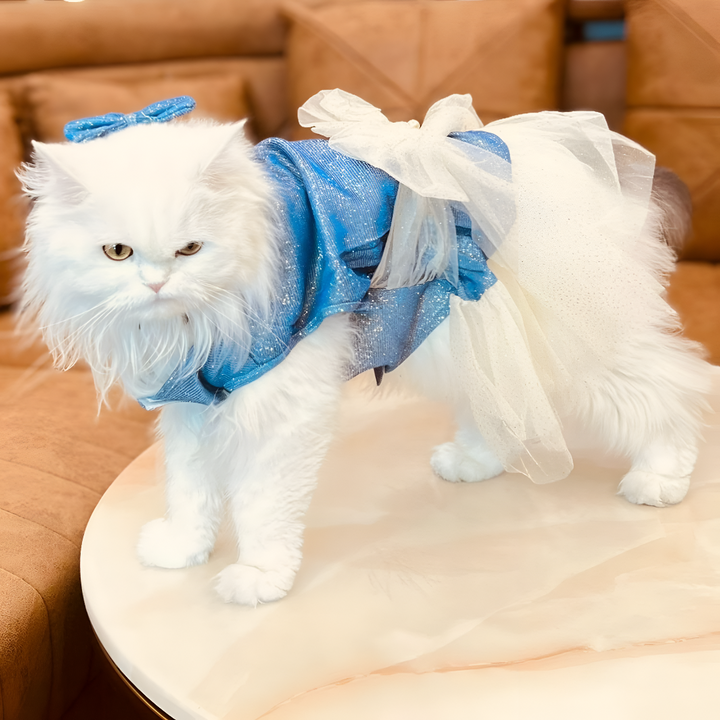 Stylish Apparel for Pets That Shine