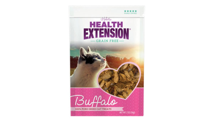 Is Grain-Free Cat Food Worth It? A 2026 Review