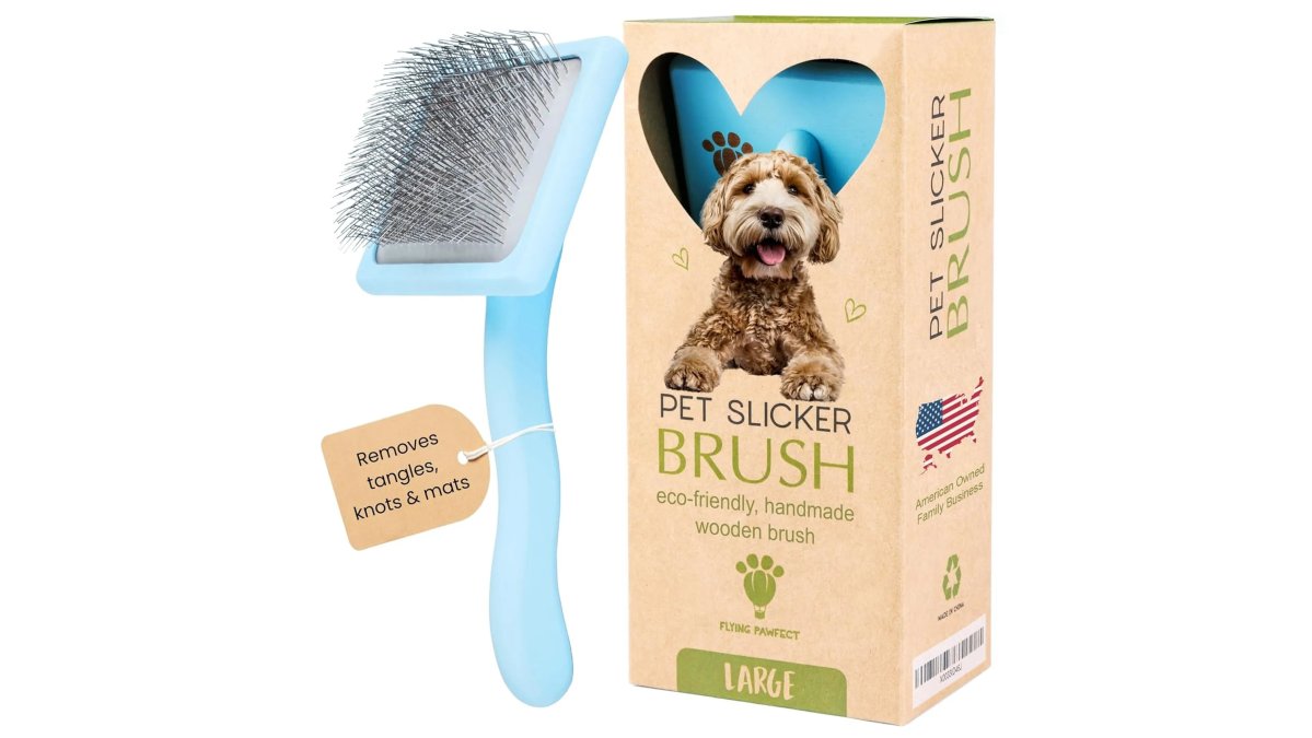 Best Grooming Tools for Long-Haired Cats: 2026 Review
