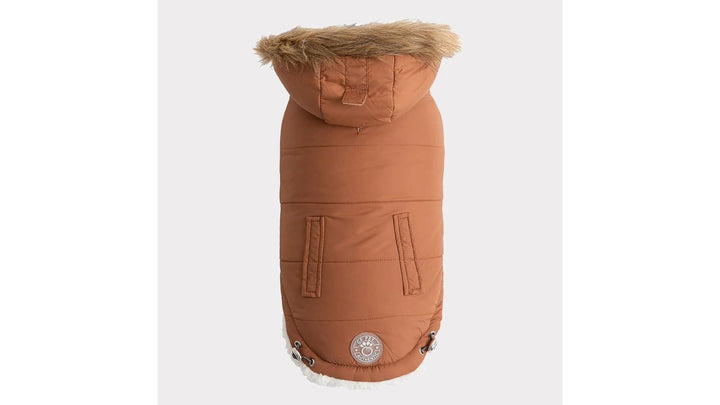 Winter Dog Coats for Senior Dogs: A 2026 Guide