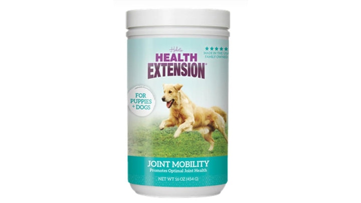 Natural Anti-Inflammatory Supplements for Cats