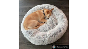Best Orthopedic Dog Beds for Senior Labs