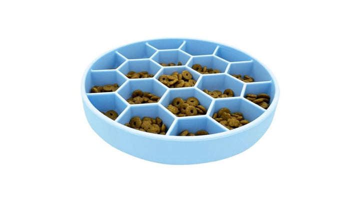 How to Introduce New Pet Food to a Sensitive Stomach Dog