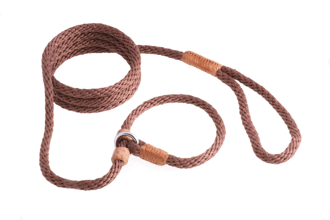 Nylon Slip Leash With 2 Stoppers (6ft  x 5/16in or 8mm)