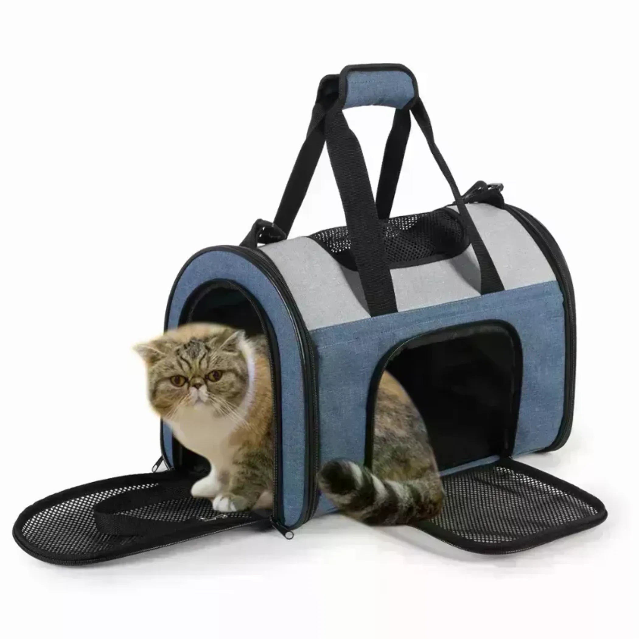 JESPET Soft-Sided Kennel Pet Carrier for Small Dogs, Cats, Puppy, Airline Approved Cat Carriers Dog Carrier Collapsible, Travel Handbag & Car Seat - Red Rock Pet Supplies
