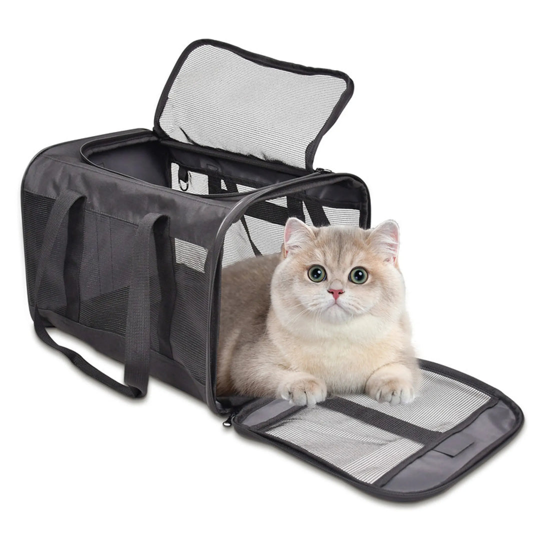 GOOPAWS Soft-Sided Airline Approved Bag Cat Carrier - Red Rock Pet Supplies