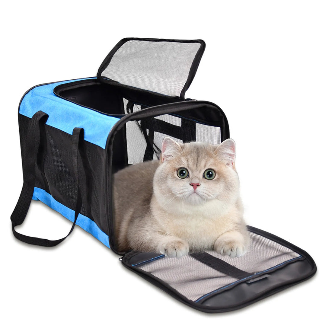 GOOPAWS Soft-Sided Airline Approved Bag Cat Carrier - Red Rock Pet Supplies