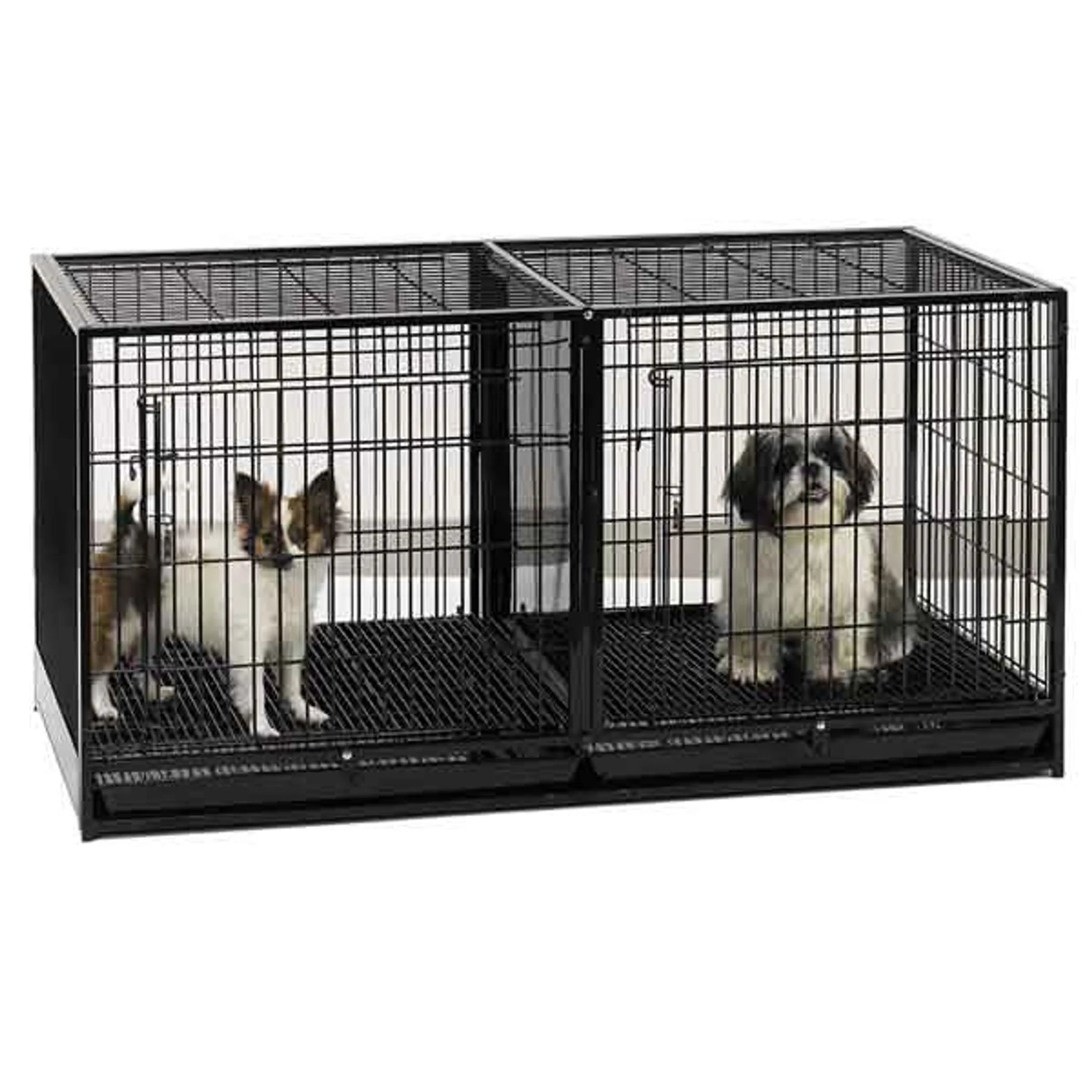 PS Modular Cage w/Plastic Tray - Red Rock Pet Supplies