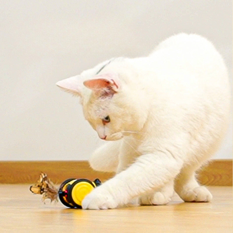Electric Cat Car Toy Cute Bee Running