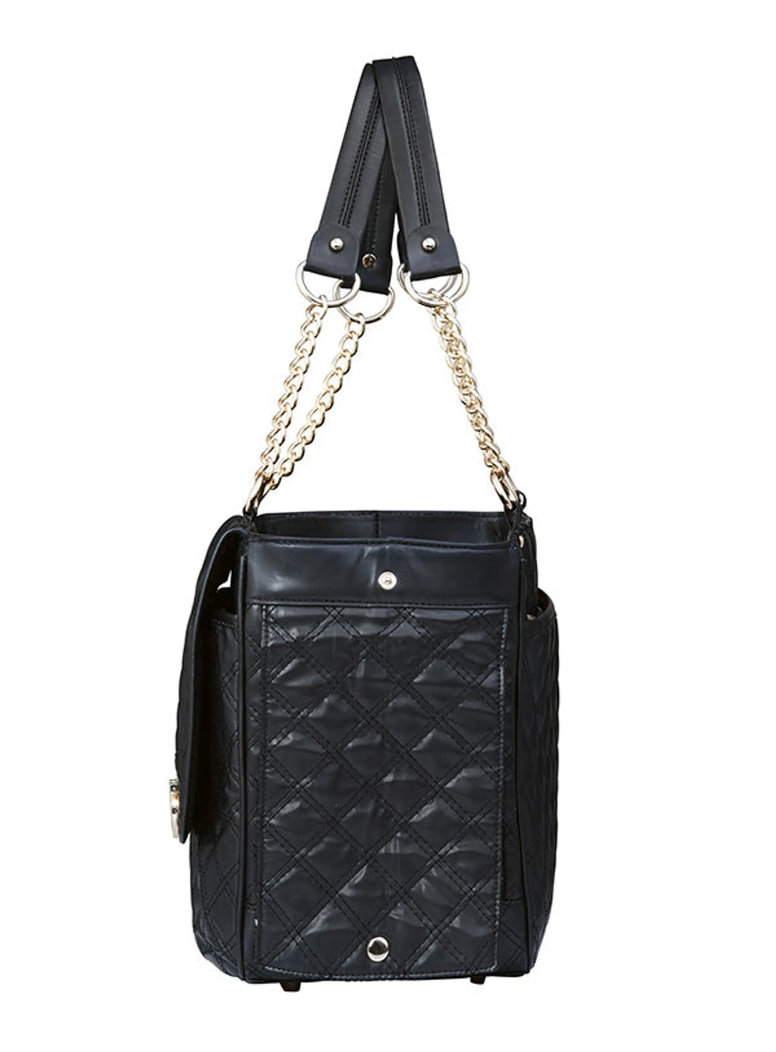 Coco Pet Carrier