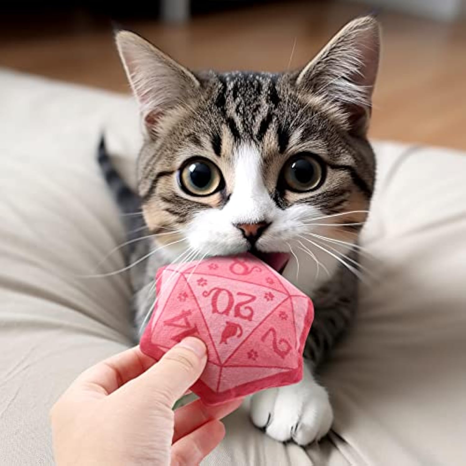 Dice Catnip Toy DND Interactive Cat Toy