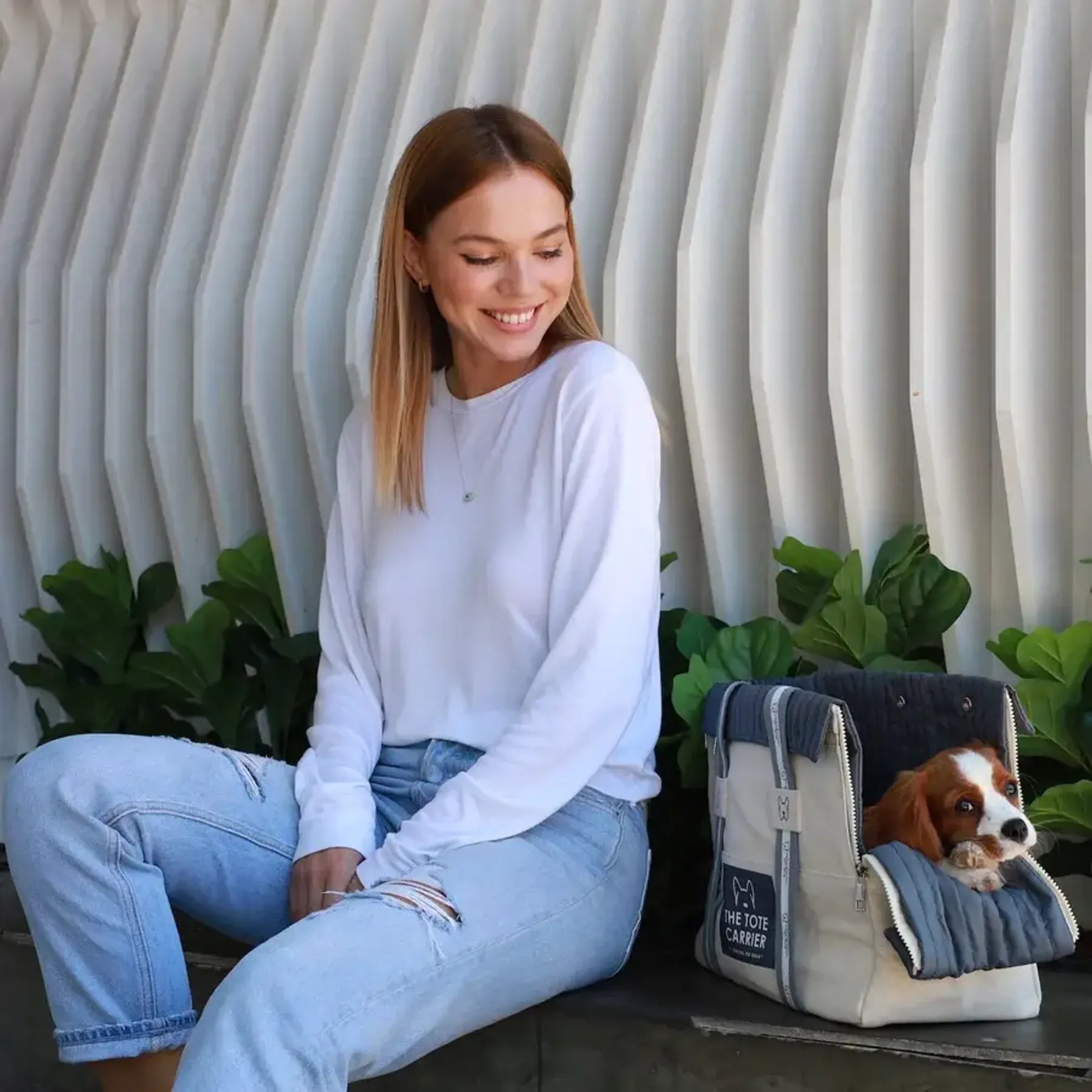 NANDOG The Tote Dog Carrier - Red Rock Pet Supplies