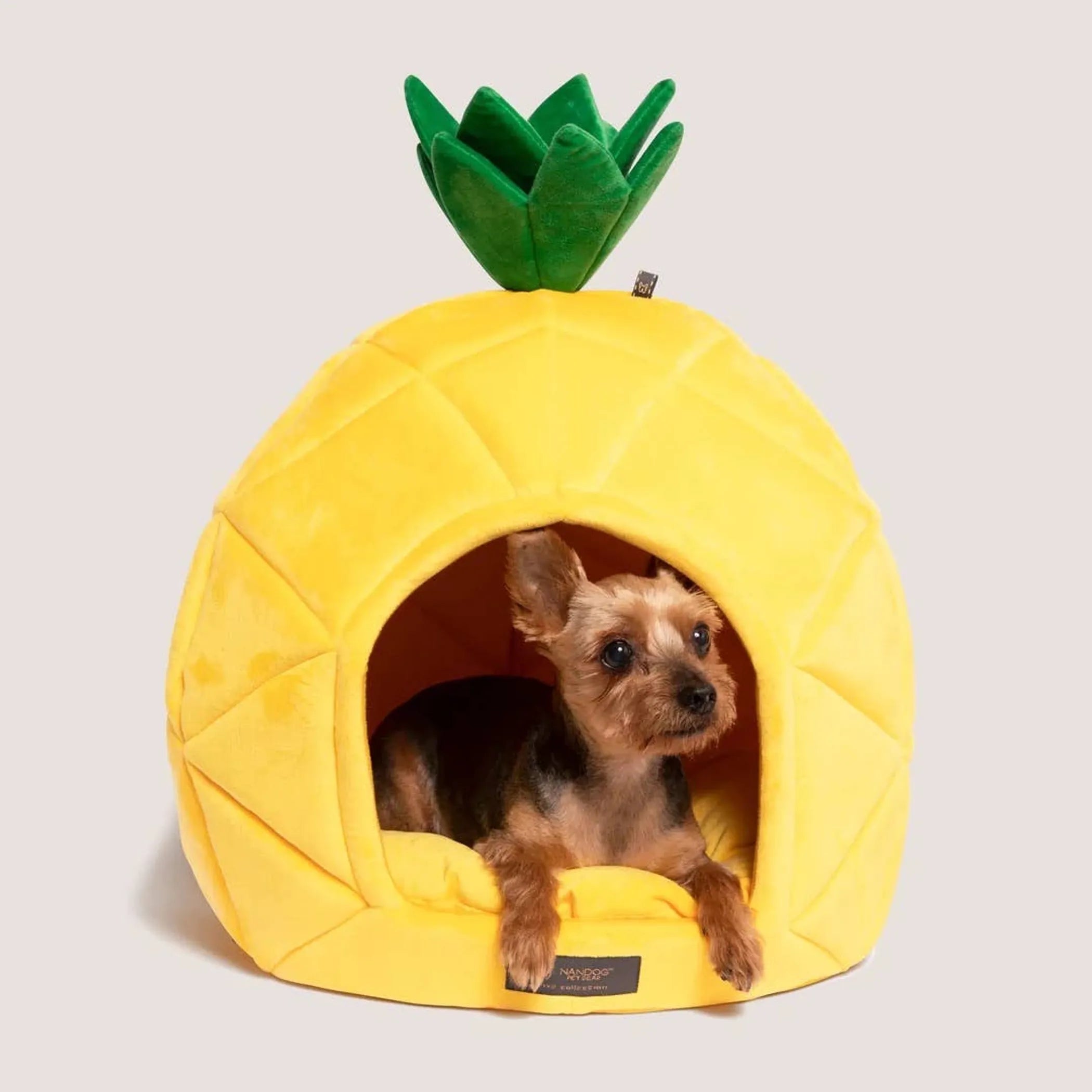 NANDOG Prive Collection Pineapple Bed-LARGE - Red Rock Pet Supplies