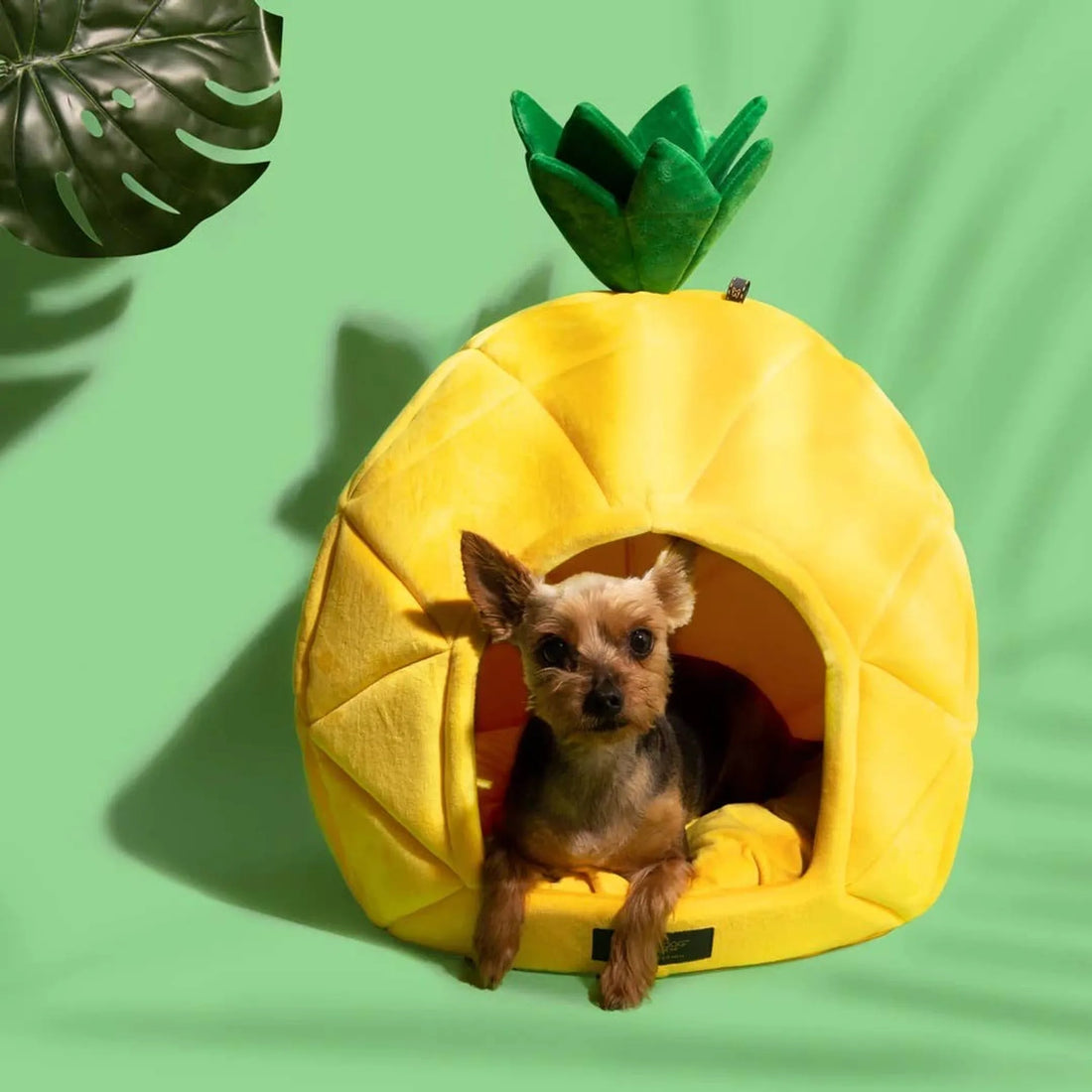 NANDOG Prive Collection Pineapple Bed-LARGE - Red Rock Pet Supplies