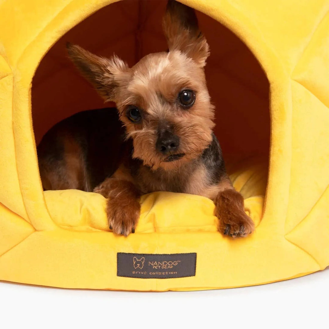NANDOG Prive Collection Pineapple Bed-LARGE - Red Rock Pet Supplies