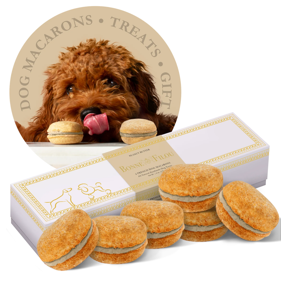 Dog Macarons - Box of 6 (Available in 12 Flavors)