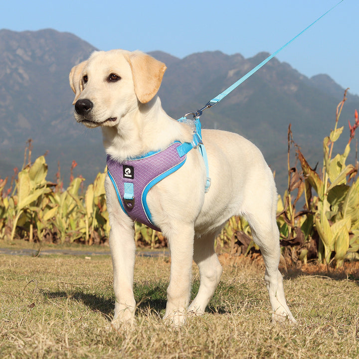 Pet Harness Adjustable Leash