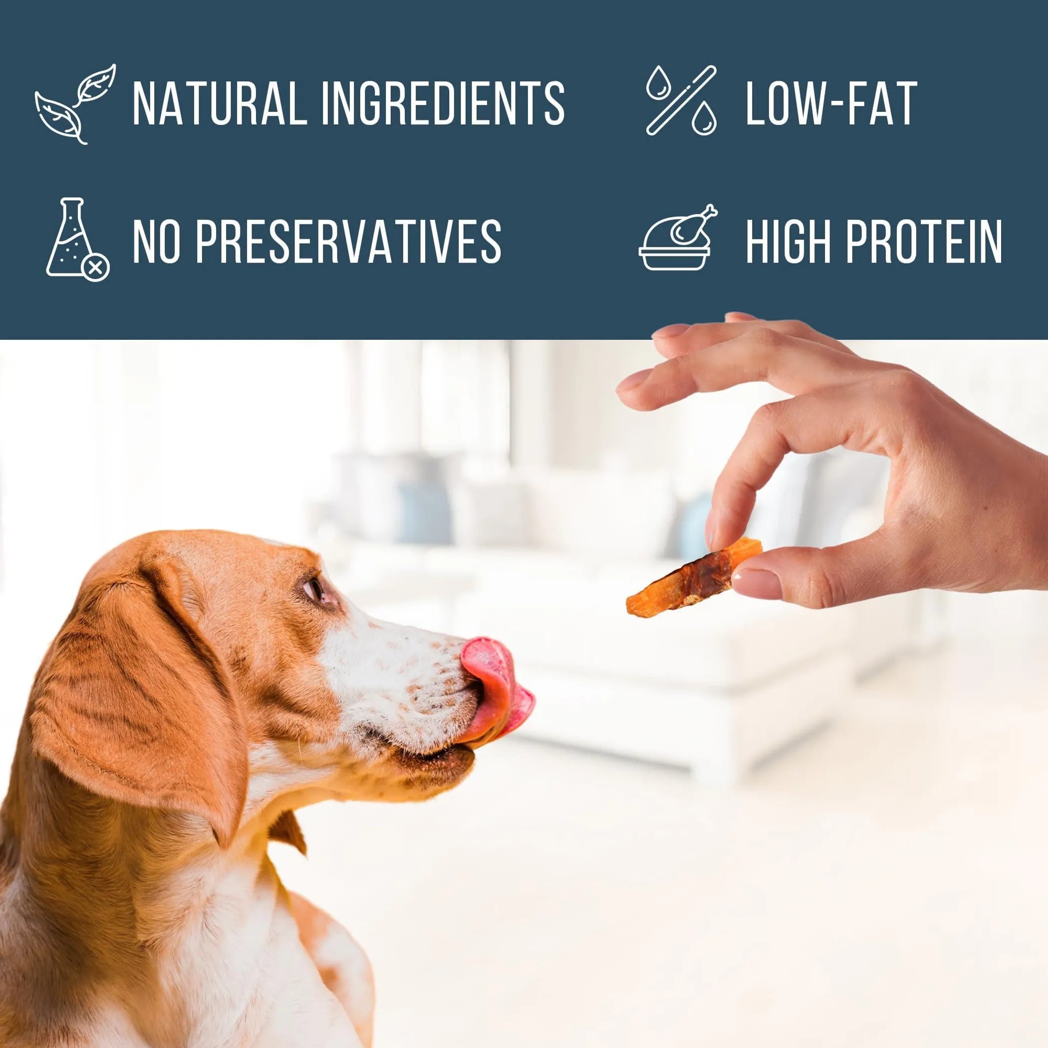 Chicken Jerky Dog Treats