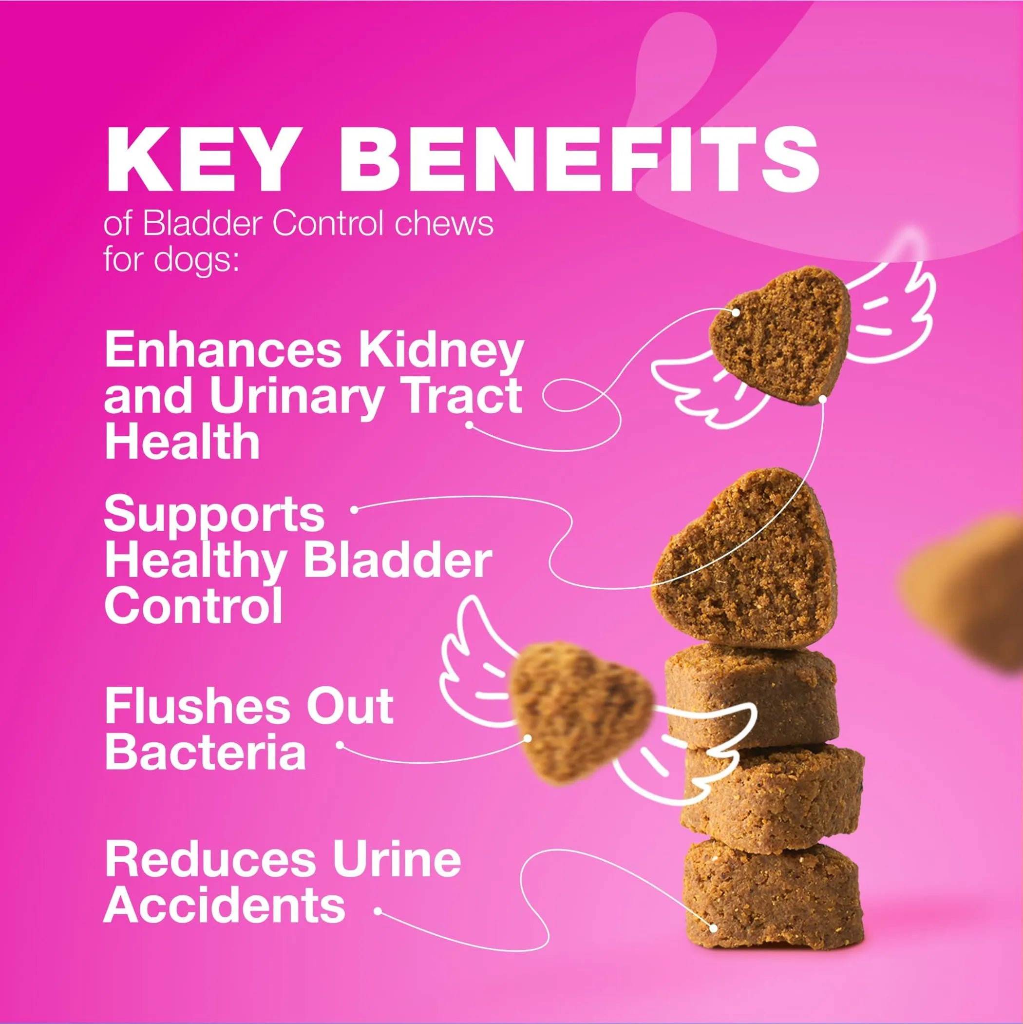 Dog UTI Treatment Chews