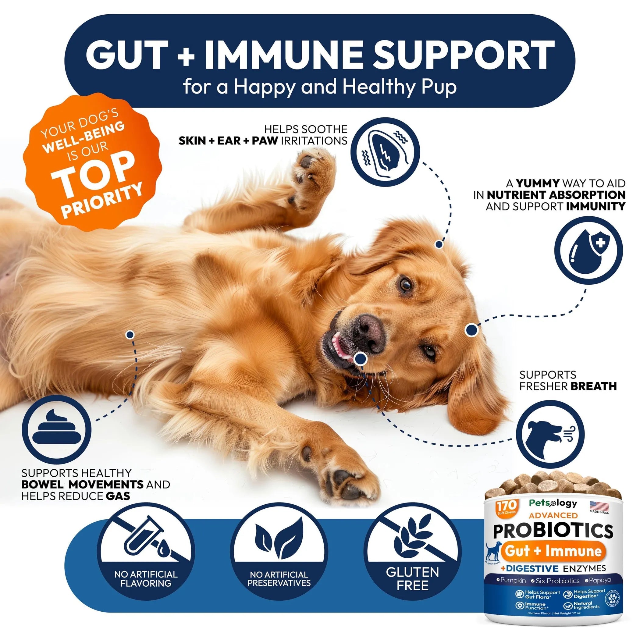 Probiotics for Dogs