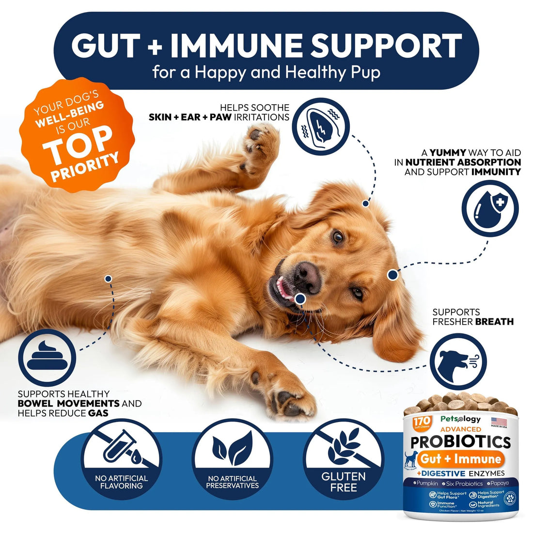 Probiotics for Dogs