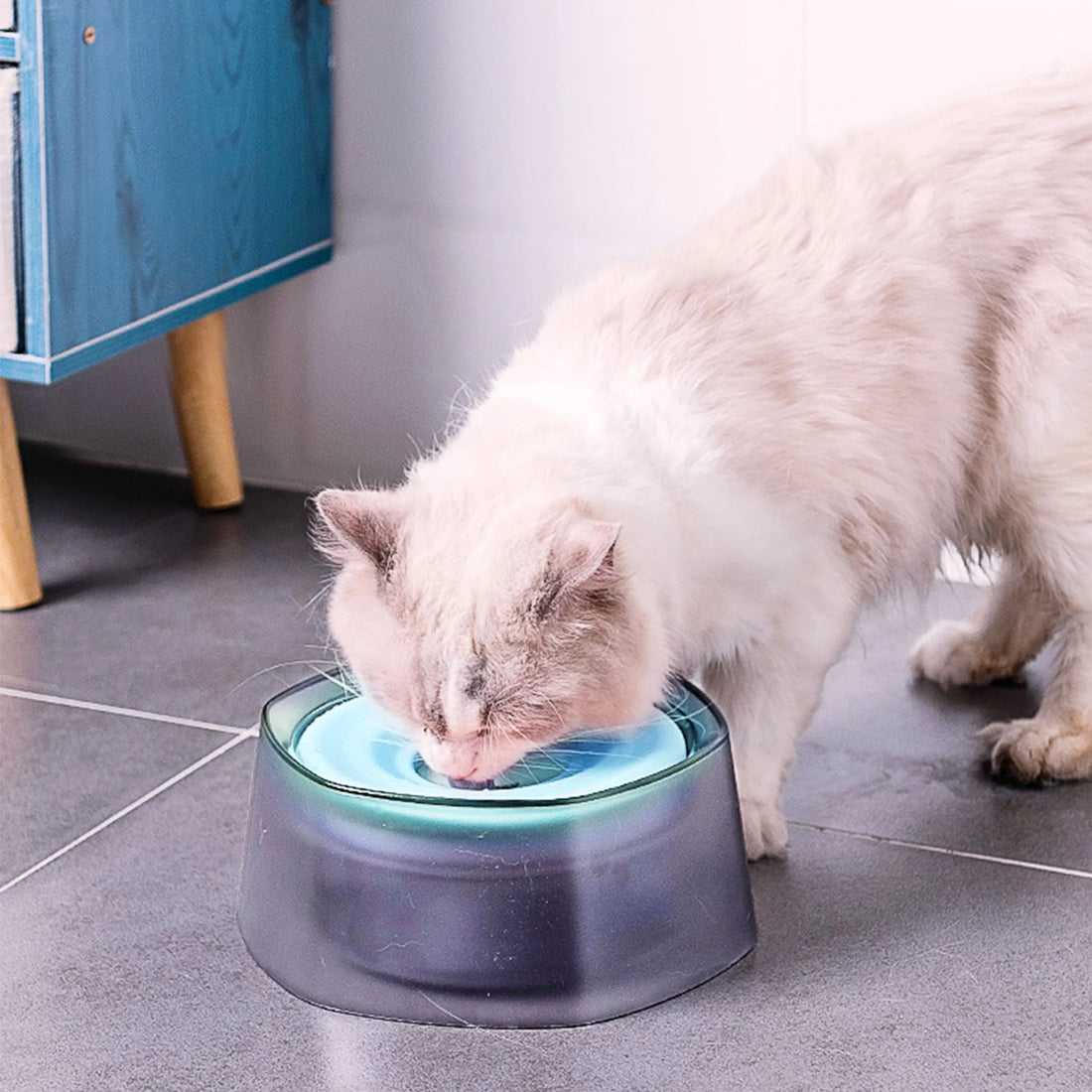 No Spill Dog Cat Water Bowl