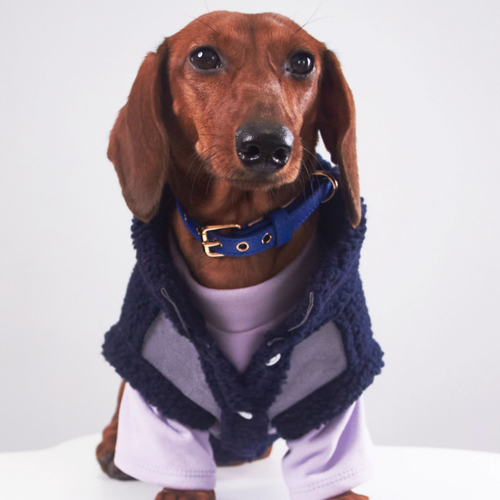 Pet Cat Clothes Winter Puppy Clothes