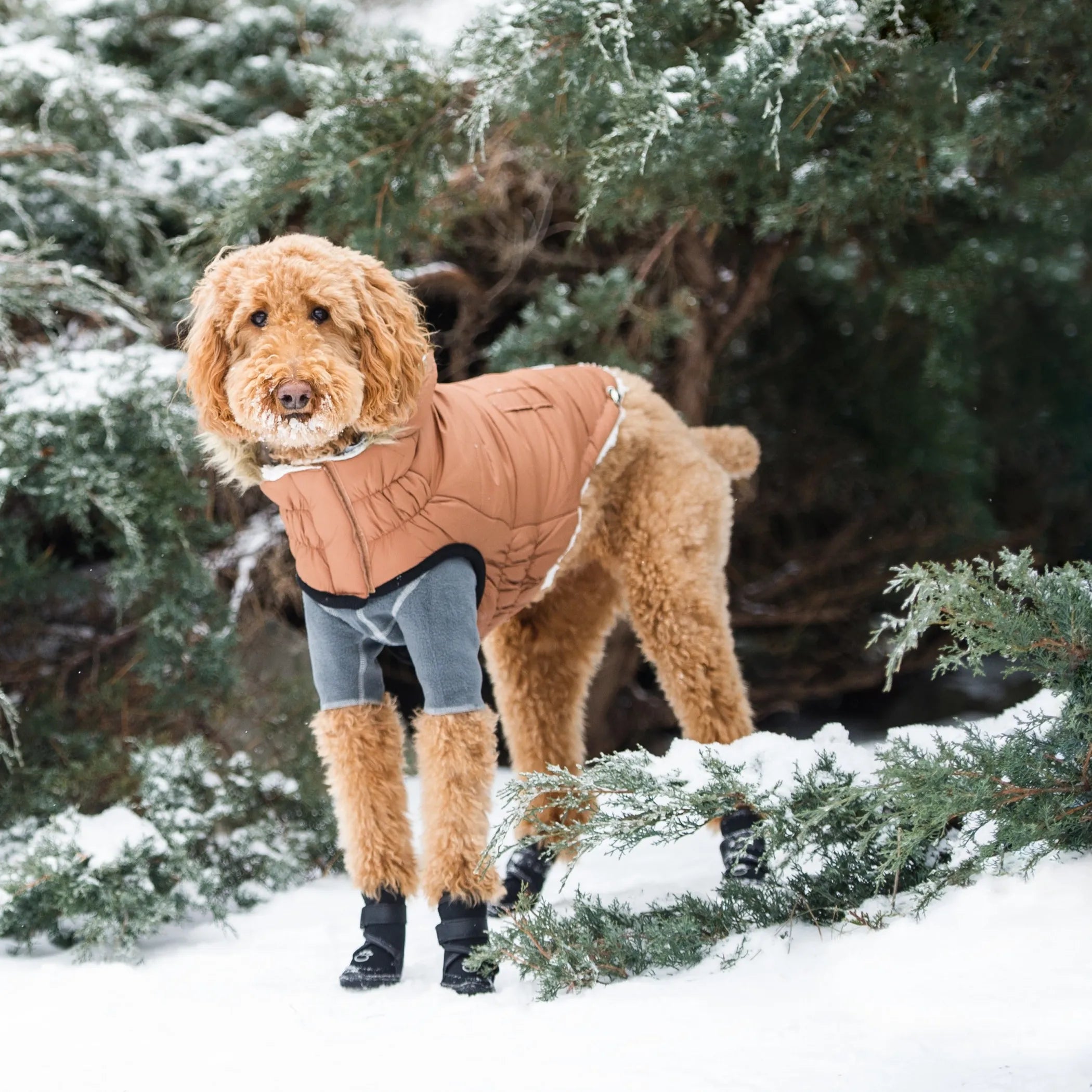 GF Pet ElastoFit Urban Dog Parka - Red Rock Pet Supplies