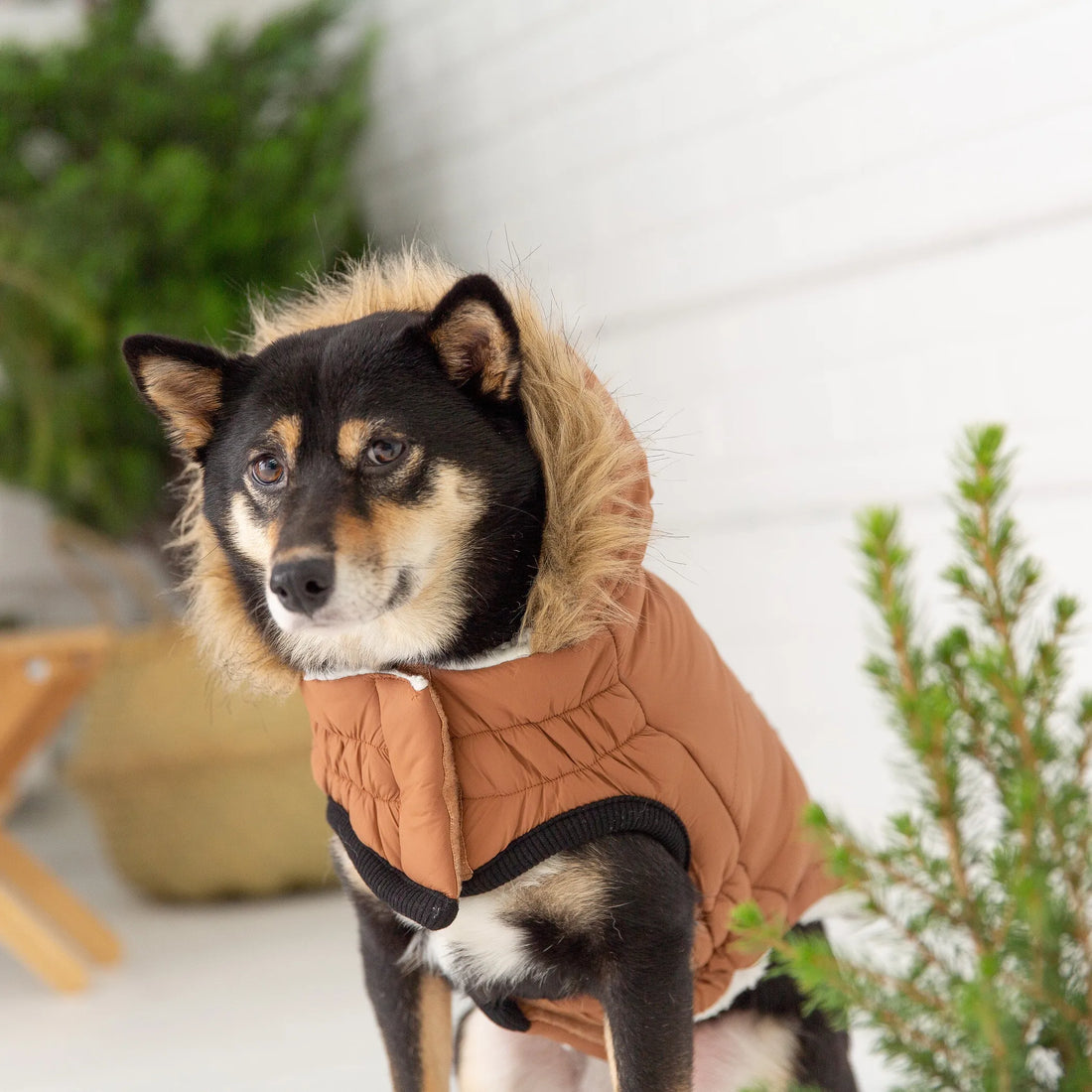 GF Pet ElastoFit Urban Dog Parka - Red Rock Pet Supplies