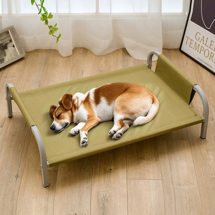 Pet Camp Bed Metal Bed