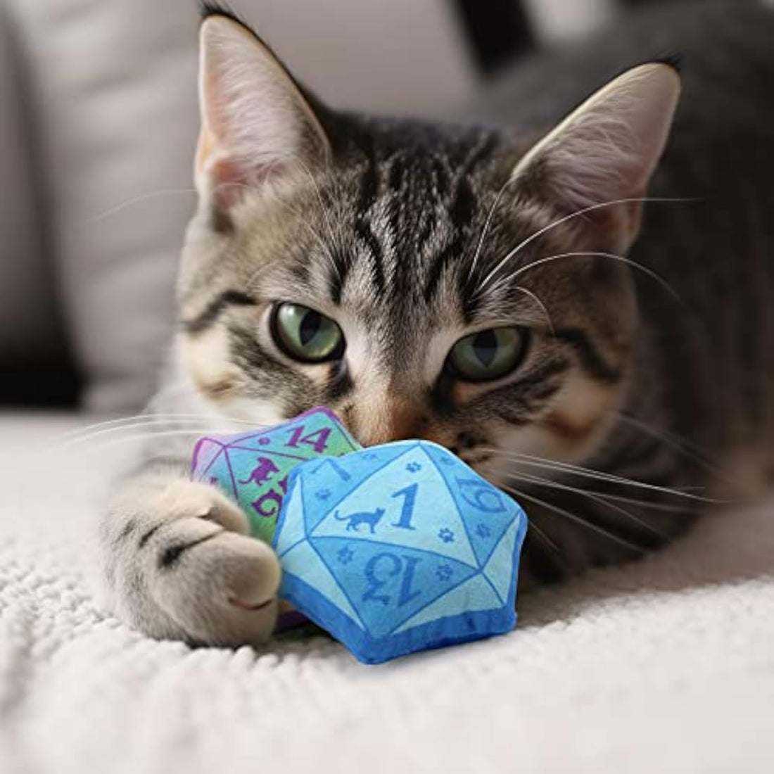 Dice Catnip Toy DND Interactive Cat Toy