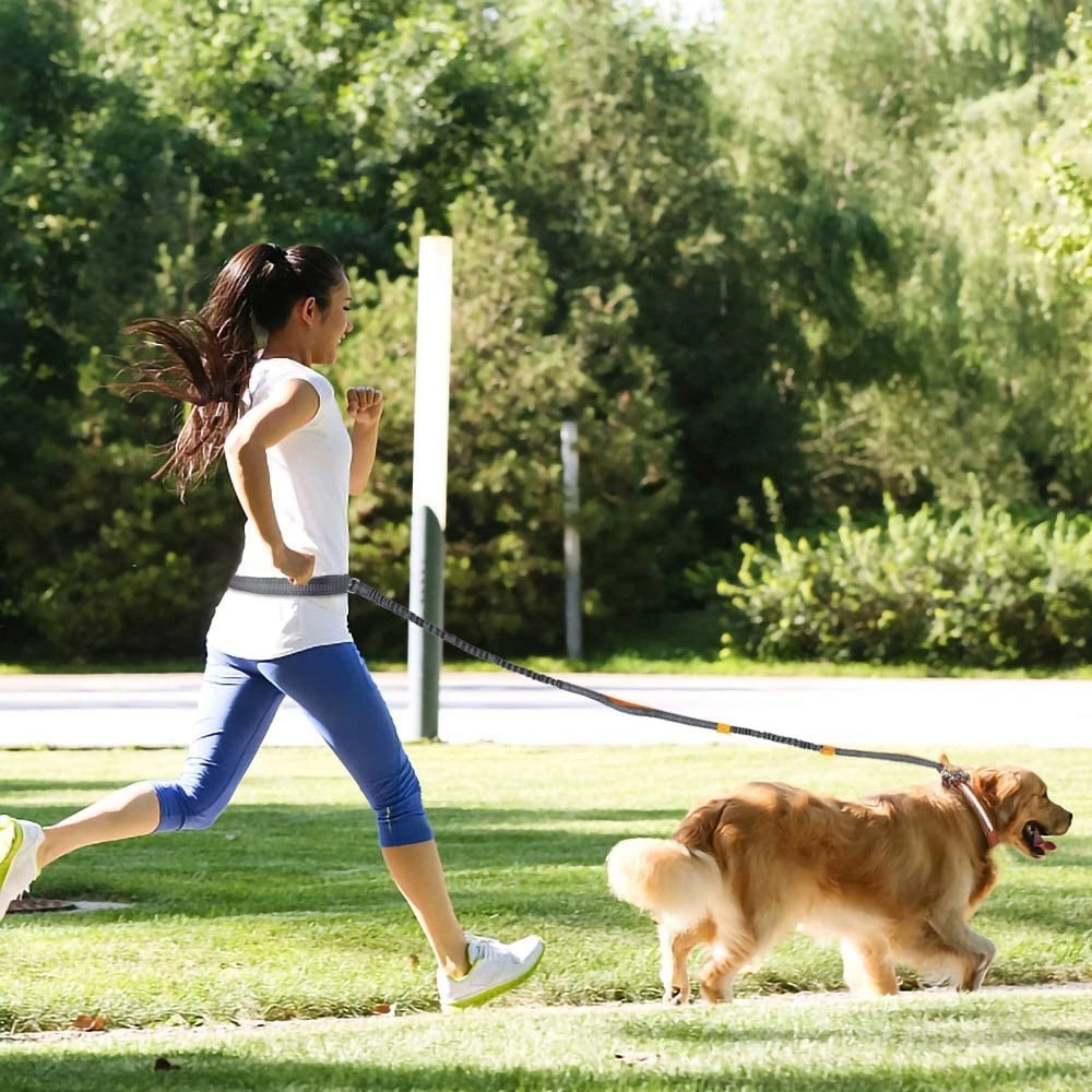 Jogging Adjustable Pet Leash