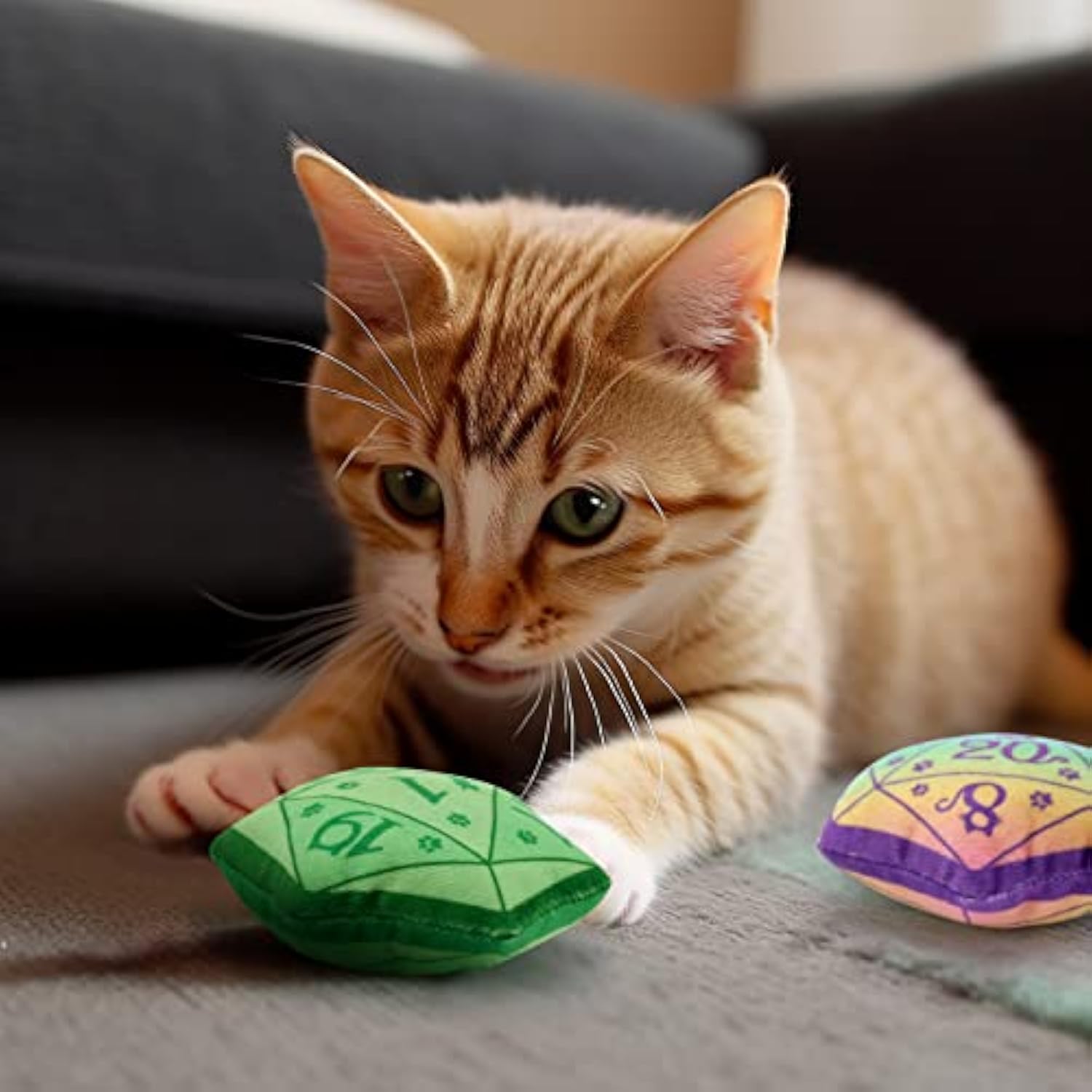 Dice Catnip Toy DND Interactive Cat Toy