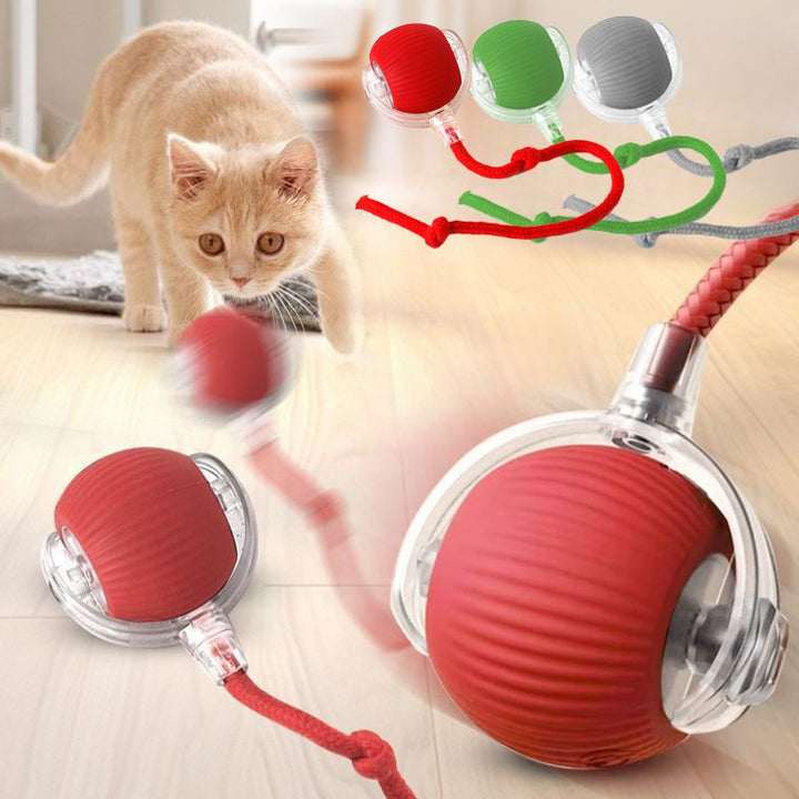 Cat Interactive Ball Toys Automatic Rolling Ball
