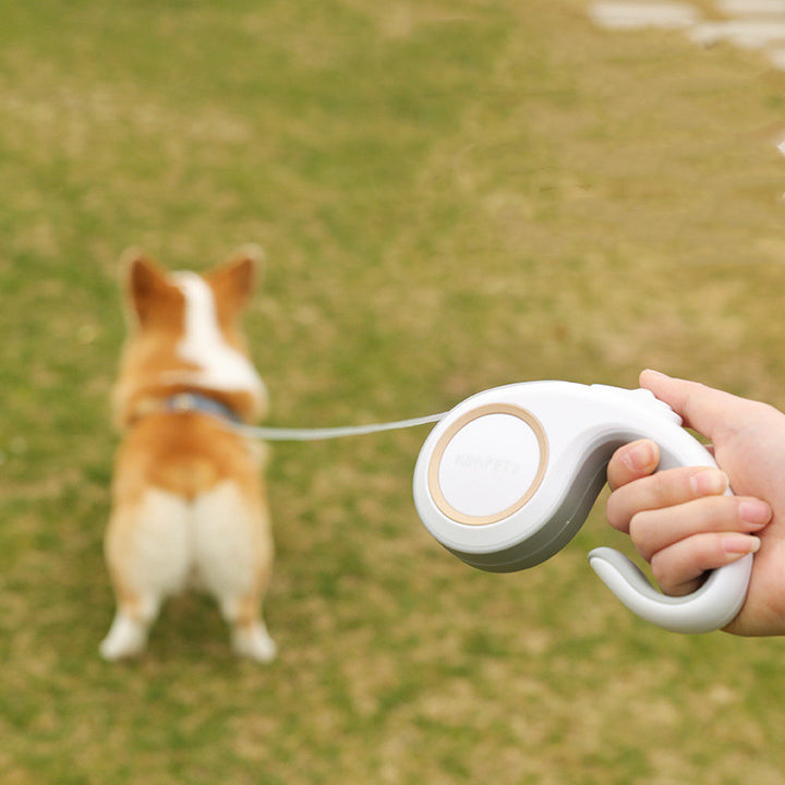 Pet Dog Automatic Retractable Leash